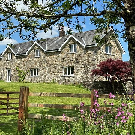 Maesyfelin Isaf B&B Llanybydder Экстерьер фото
