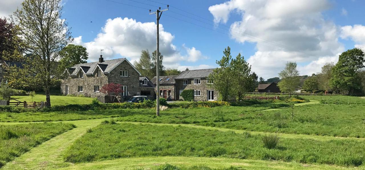 Maesyfelin Isaf B&B Llanybydder Экстерьер фото