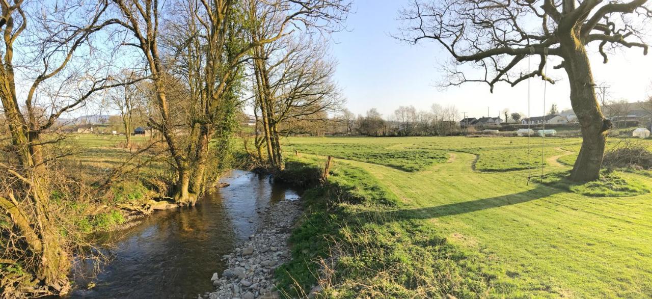 Maesyfelin Isaf B&B Llanybydder Экстерьер фото