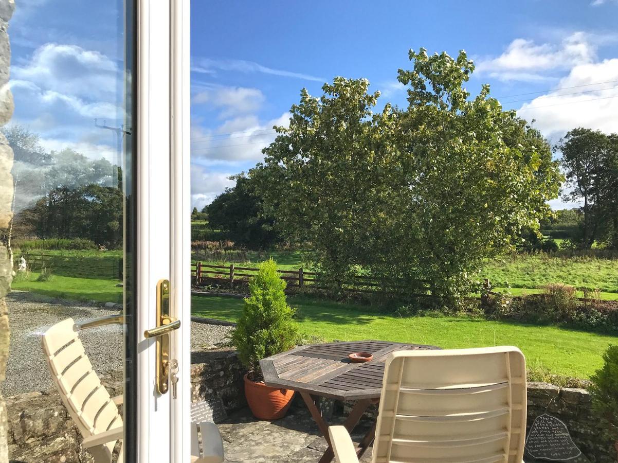 Maesyfelin Isaf B&B Llanybydder Экстерьер фото