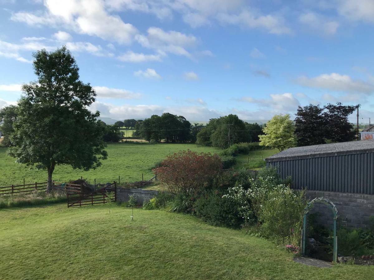 Maesyfelin Isaf B&B Llanybydder Экстерьер фото