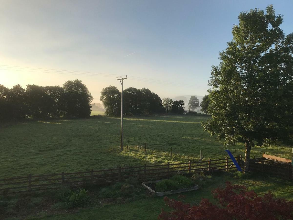 Maesyfelin Isaf B&B Llanybydder Экстерьер фото
