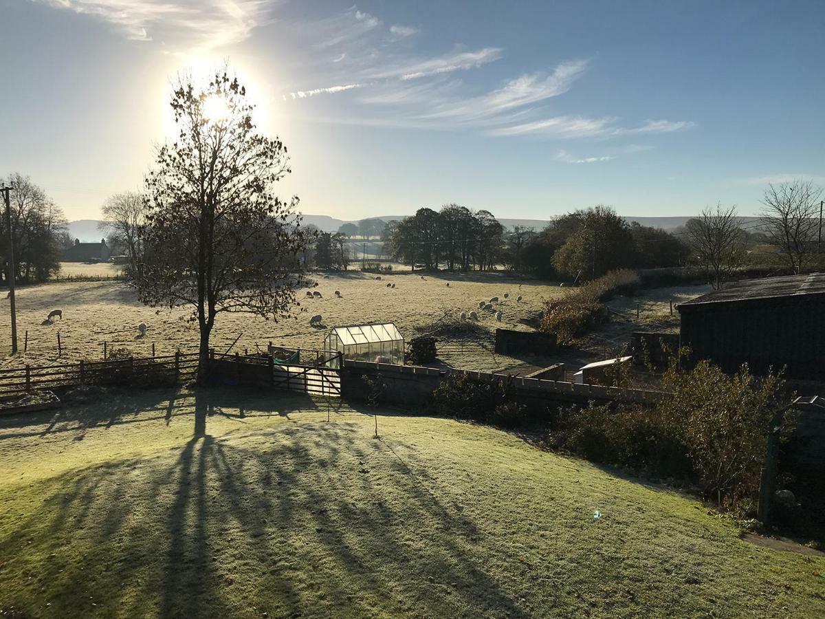 Maesyfelin Isaf B&B Llanybydder Экстерьер фото