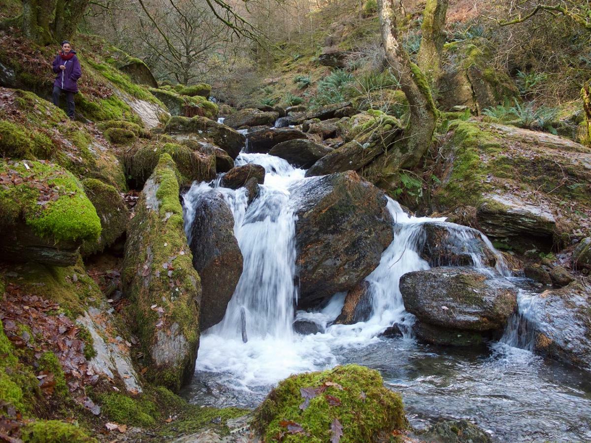 Maesyfelin Isaf B&B Llanybydder Экстерьер фото