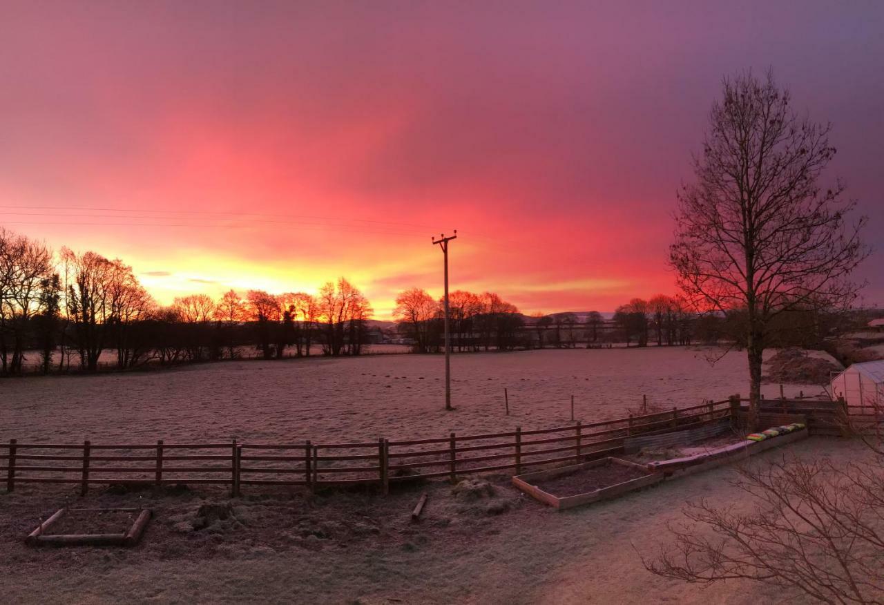 Maesyfelin Isaf B&B Llanybydder Экстерьер фото