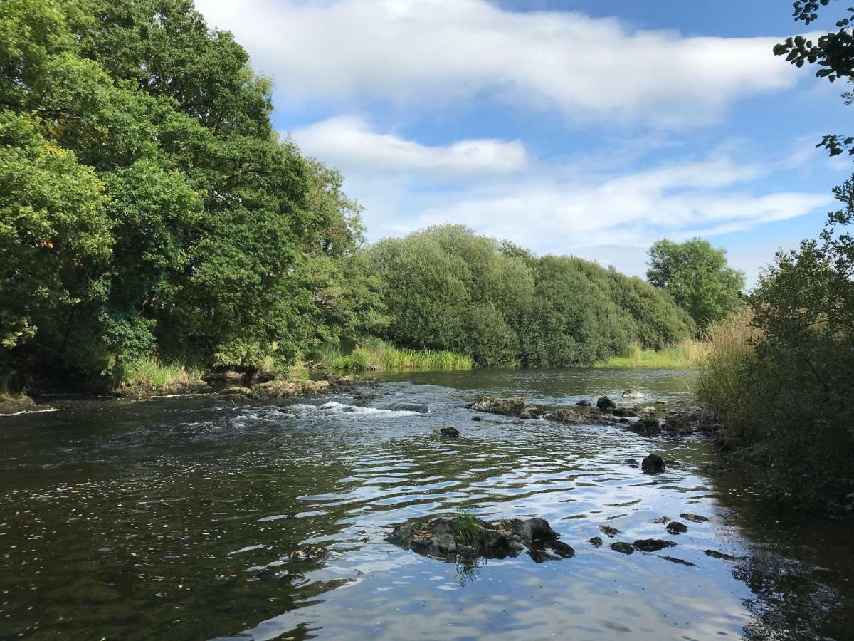 Maesyfelin Isaf B&B Llanybydder Экстерьер фото
