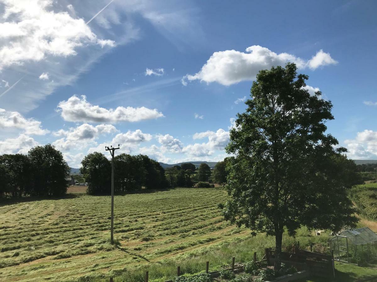 Maesyfelin Isaf B&B Llanybydder Экстерьер фото