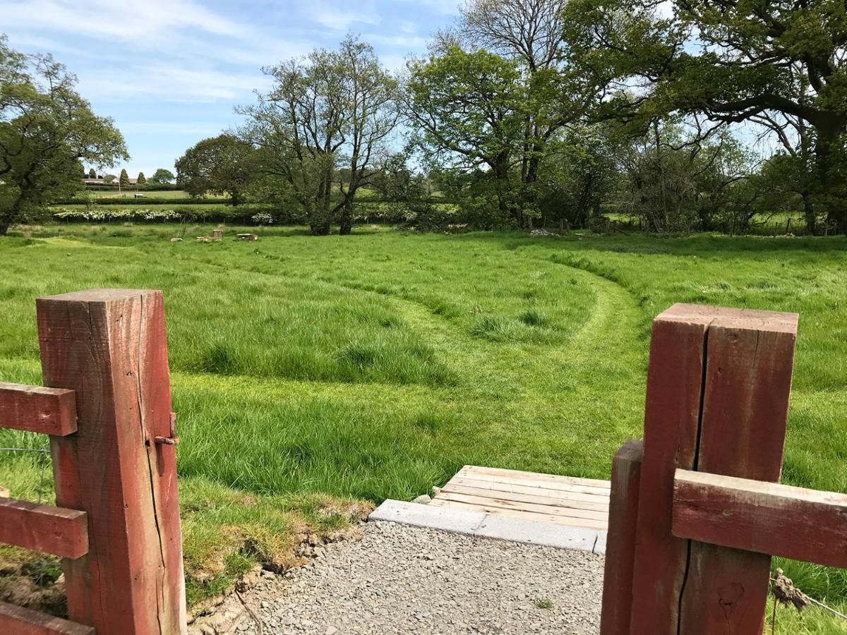 Maesyfelin Isaf B&B Llanybydder Экстерьер фото