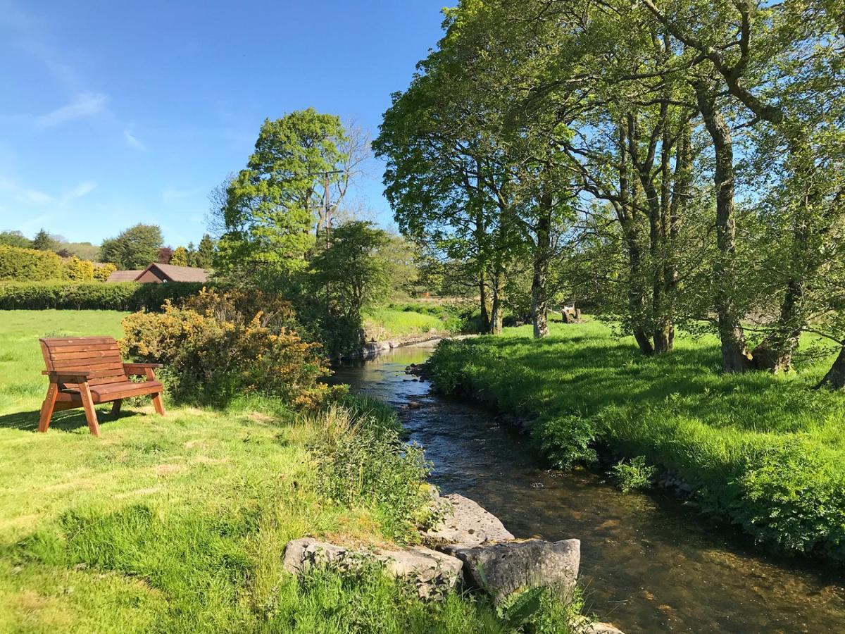 Maesyfelin Isaf B&B Llanybydder Экстерьер фото